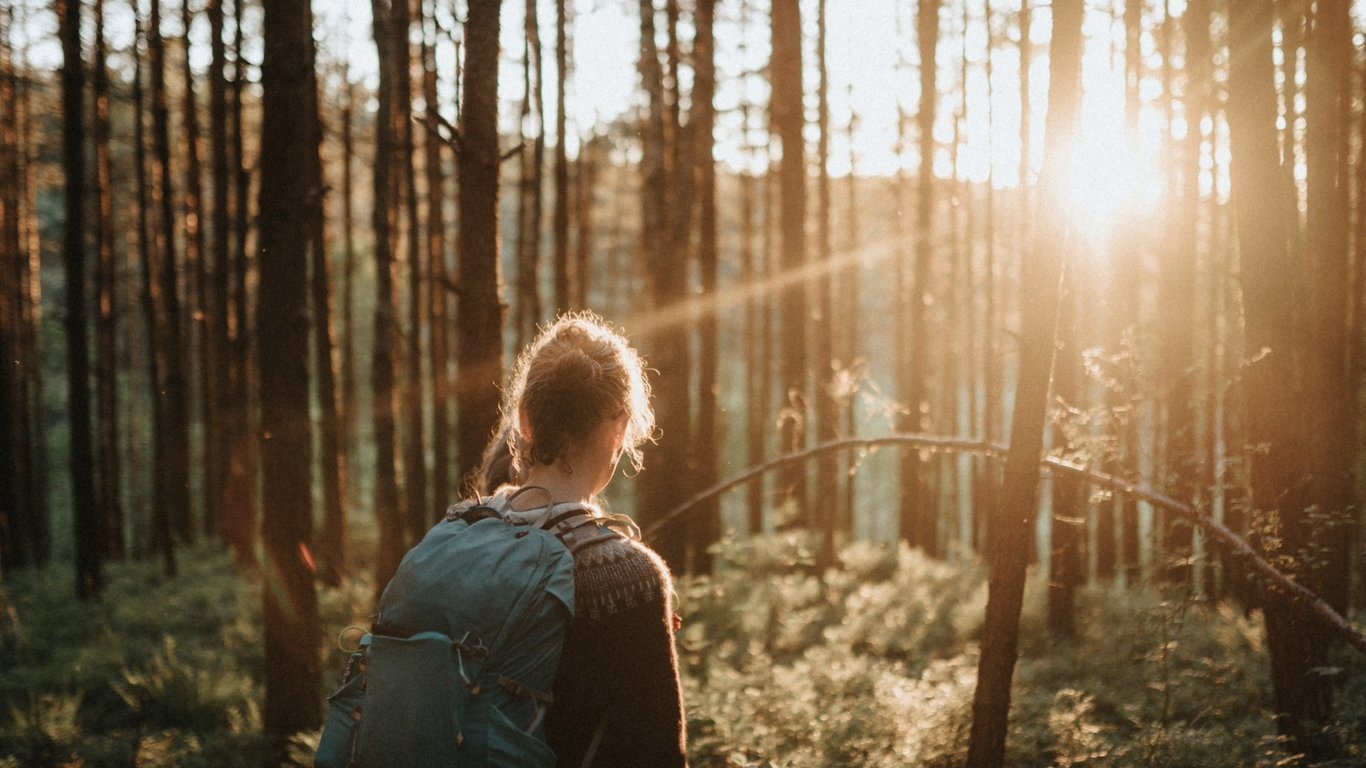 Kvinna med ryggsäck som går i skogen med ryggen vänd